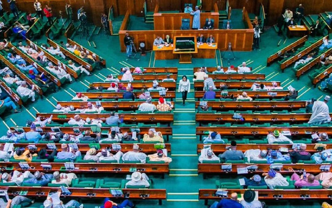 House of Reps Denies Receiving N100m As Palliative from FG