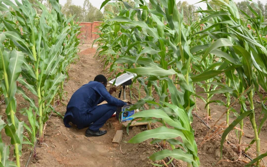 Stakeholders in Soil Science converge at Gidan Mangoro – for Green Field Day exercise.