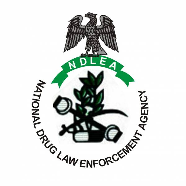 NDLEA Responds to Police Inquiry on Mohbad’s Death.