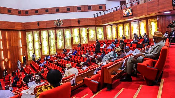 Senate confirms Hafsat Bakari as Director of Nigerian Financial Intelligence Unit