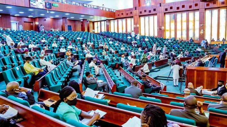 House of Representatives probes non-remittance of tax by selected businesses
