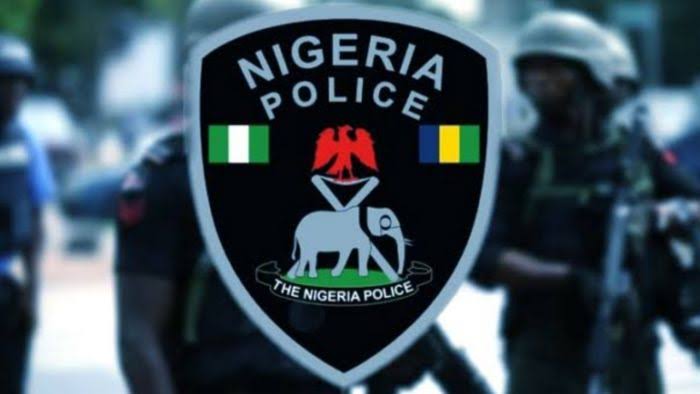 Senate directs police to recruit minimum of 10 candidates from 774 Local Government Areas