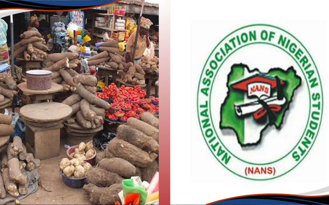NANS Urges Federal Government to Address Rising Food Prices
