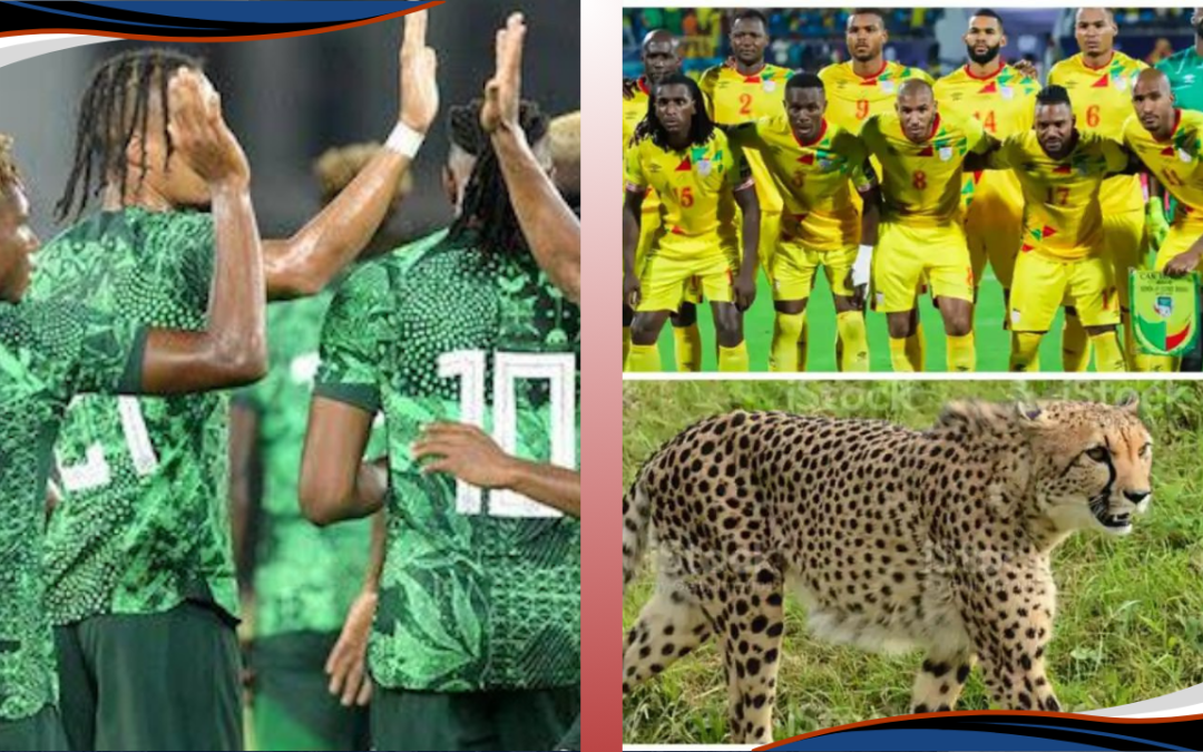 Nigeria Super Eagles to Face Benin Cheetahs in 2026 FIFA World Cup Qualifiers
