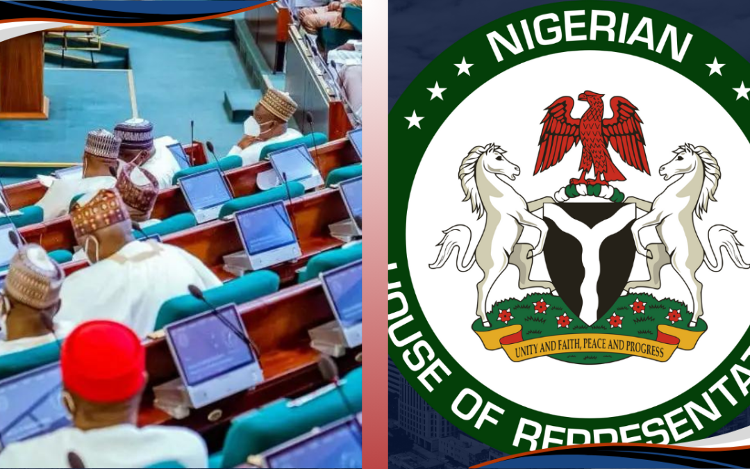 House of Representatives Calls for Papers on Restructuring Government Agencies