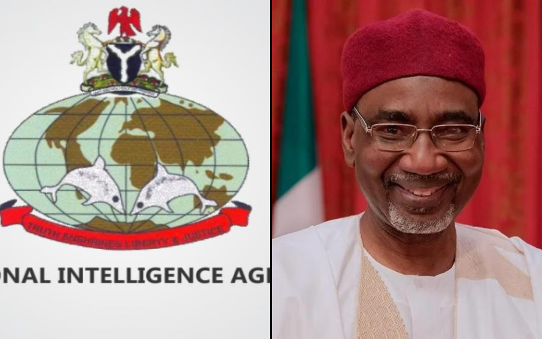 NIA Director General Ahmed Rufai Abubakar Resigns, Citing Personal and Family Reasons.