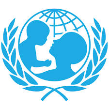UNICEF pledges continued collaboration with Niger State Government to strengthen Primary Healthcare System