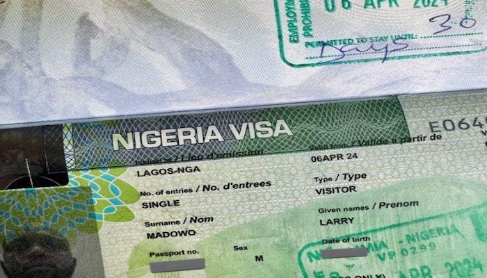 FG Announces Visa Amnesty for Overstayers, Gives Grace Period Until September 30