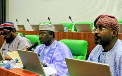 Reps Summon Water Resources Minister, Agencies Over Delays in 40MW Dadin-Kowa Power Project