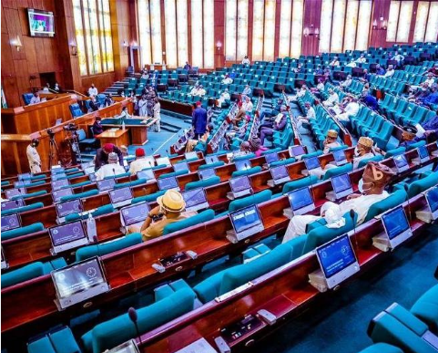 Reps to Probe Museum of West African Arts Over Funding, Control Concerns in Edo State