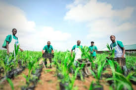 FG Seeks Stronger Stakeholder Partnership to Empower Youths in Agriculture